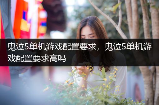 鬼泣5单机游戏配置要求，鬼泣5单机游戏配置要求高吗