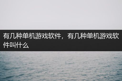 有几种单机游戏软件，有几种单机游戏软件叫什么
