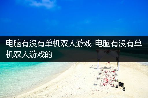 电脑有没有单机双人游戏-电脑有没有单机双人游戏的