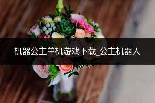 机器公主单机游戏下载_公主机器人