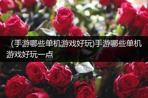 （手游哪些单机游戏好玩)手游哪些单机游戏好玩一点