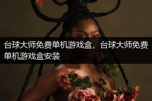 台球大师免费单机游戏盒，台球大师免费单机游戏盒安装