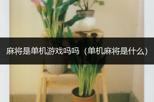 麻将是单机游戏吗吗（单机麻将是什么）
