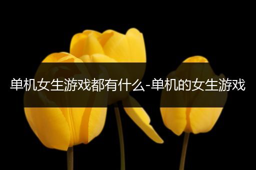 单机女生游戏都有什么-单机的女生游戏