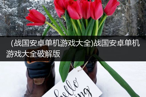 （战国安卓单机游戏大全)战国安卓单机游戏大全破解版