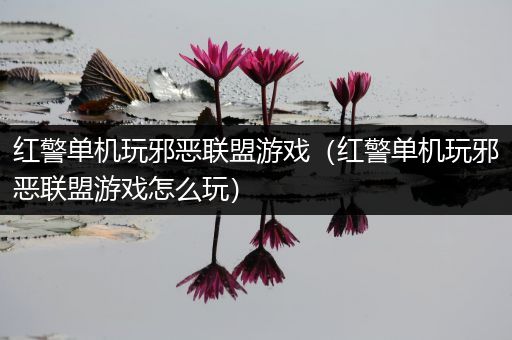红警单机玩邪恶联盟游戏（红警单机玩邪恶联盟游戏怎么玩）