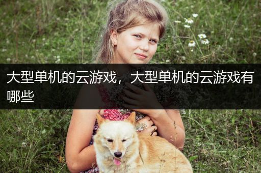 大型单机的云游戏，大型单机的云游戏有哪些