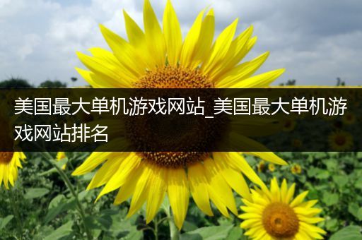 美国最大单机游戏网站_美国最大单机游戏网站排名