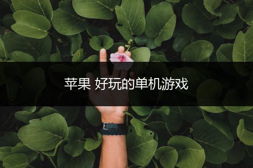 苹果 好玩的单机游戏