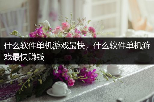 什么软件单机游戏最快，什么软件单机游戏最快赚钱