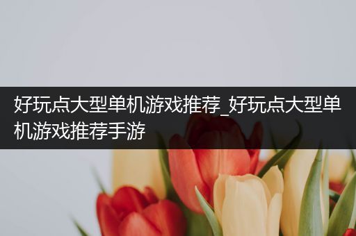 好玩点大型单机游戏推荐_好玩点大型单机游戏推荐手游