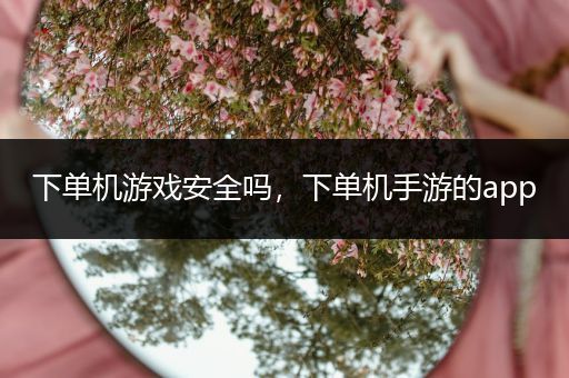 下单机游戏安全吗，下单机手游的app