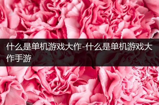 什么是单机游戏大作-什么是单机游戏大作手游
