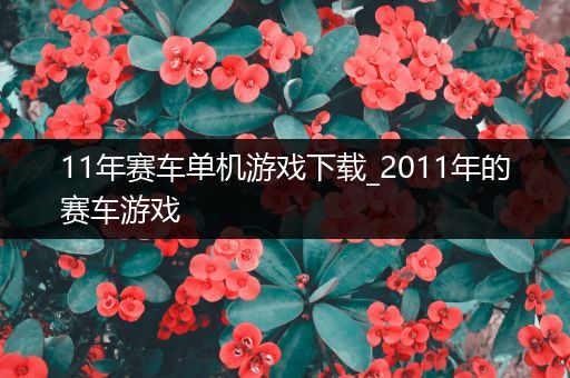 11年赛车单机游戏下载_2011年的赛车游戏