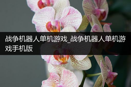 战争机器人单机游戏_战争机器人单机游戏手机版