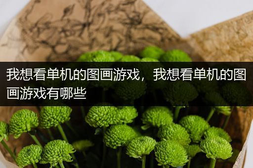 我想看单机的图画游戏，我想看单机的图画游戏有哪些