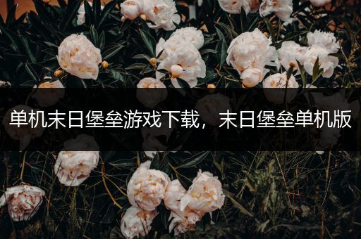 单机末日堡垒游戏下载，末日堡垒单机版