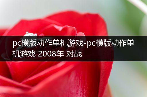 pc横版动作单机游戏-pc横版动作单机游戏 2008年 对战