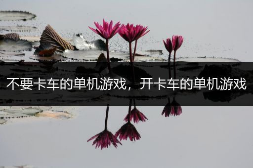 不要卡车的单机游戏，开卡车的单机游戏