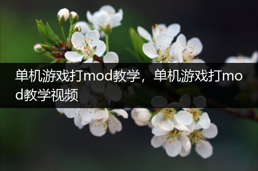 单机游戏打mod教学，单机游戏打mod教学视频