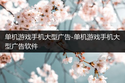 单机游戏手机大型广告-单机游戏手机大型广告软件