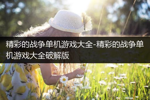 精彩的战争单机游戏大全-精彩的战争单机游戏大全破解版