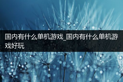 国内有什么单机游戏_国内有什么单机游戏好玩