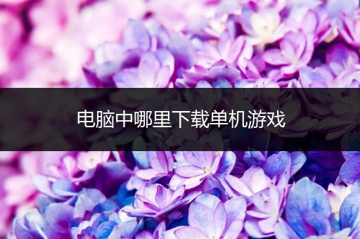 电脑中哪里下载单机游戏
