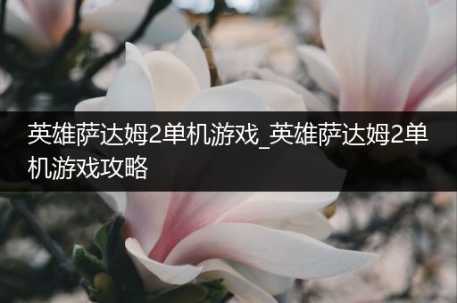 英雄萨达姆2单机游戏_英雄萨达姆2单机游戏攻略