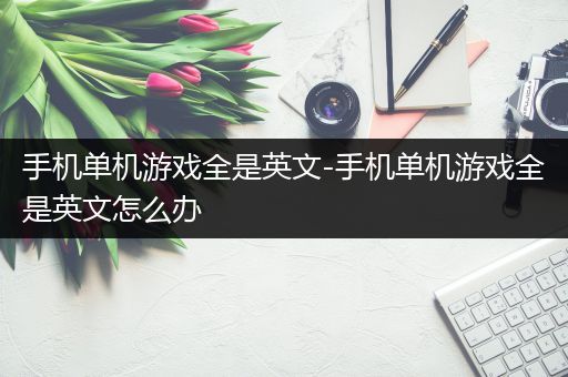 手机单机游戏全是英文-手机单机游戏全是英文怎么办