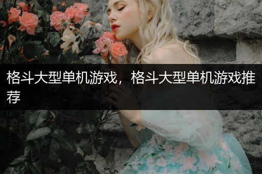 格斗大型单机游戏，格斗大型单机游戏推荐