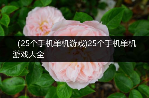 （25个手机单机游戏)25个手机单机游戏大全