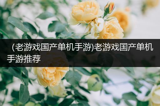 （老游戏国产单机手游)老游戏国产单机手游推荐