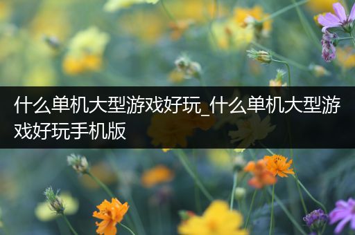 什么单机大型游戏好玩_什么单机大型游戏好玩手机版