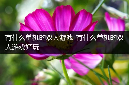 有什么单机的双人游戏-有什么单机的双人游戏好玩