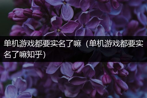 单机游戏都要实名了嘛（单机游戏都要实名了嘛知乎）