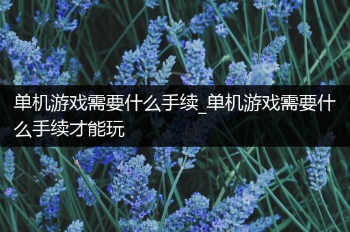 单机游戏需要什么手续_单机游戏需要什么手续才能玩