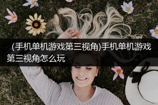 （手机单机游戏第三视角)手机单机游戏第三视角怎么玩