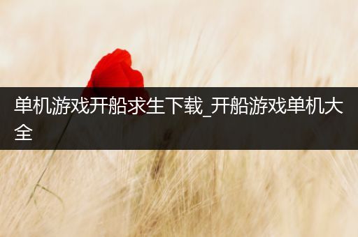 单机游戏开船求生下载_开船游戏单机大全