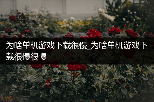 为啥单机游戏下载很慢_为啥单机游戏下载很慢很慢