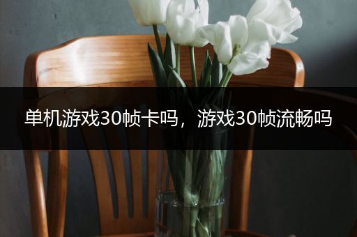单机游戏30帧卡吗，游戏30帧流畅吗