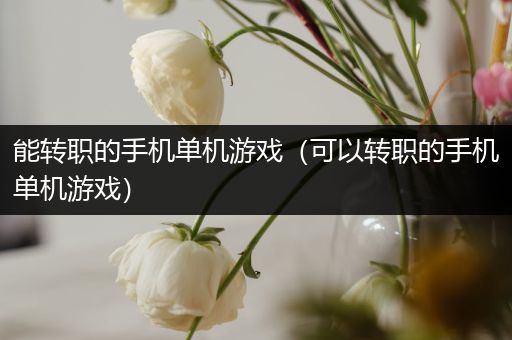 能转职的手机单机游戏（可以转职的手机单机游戏）