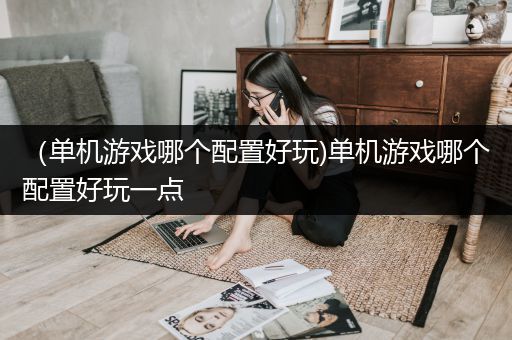 （单机游戏哪个配置好玩)单机游戏哪个配置好玩一点