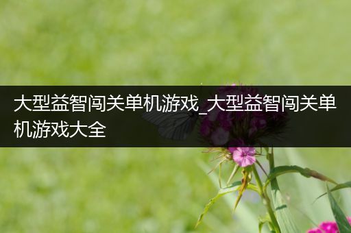 大型益智闯关单机游戏_大型益智闯关单机游戏大全