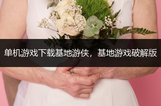 单机游戏下载基地游侠，基地游戏破解版