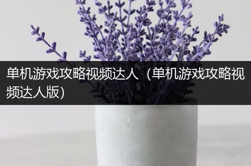 单机游戏攻略视频达人（单机游戏攻略视频达人版）