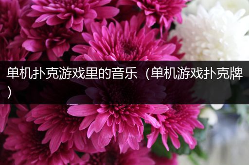 单机扑克游戏里的音乐（单机游戏扑克牌）