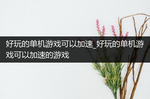 好玩的单机游戏可以加速_好玩的单机游戏可以加速的游戏