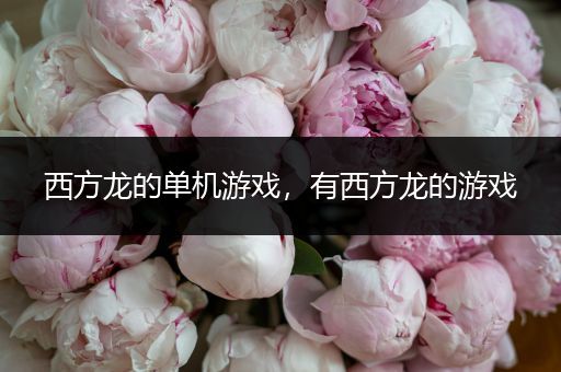 西方龙的单机游戏，有西方龙的游戏