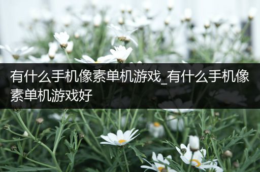 有什么手机像素单机游戏_有什么手机像素单机游戏好